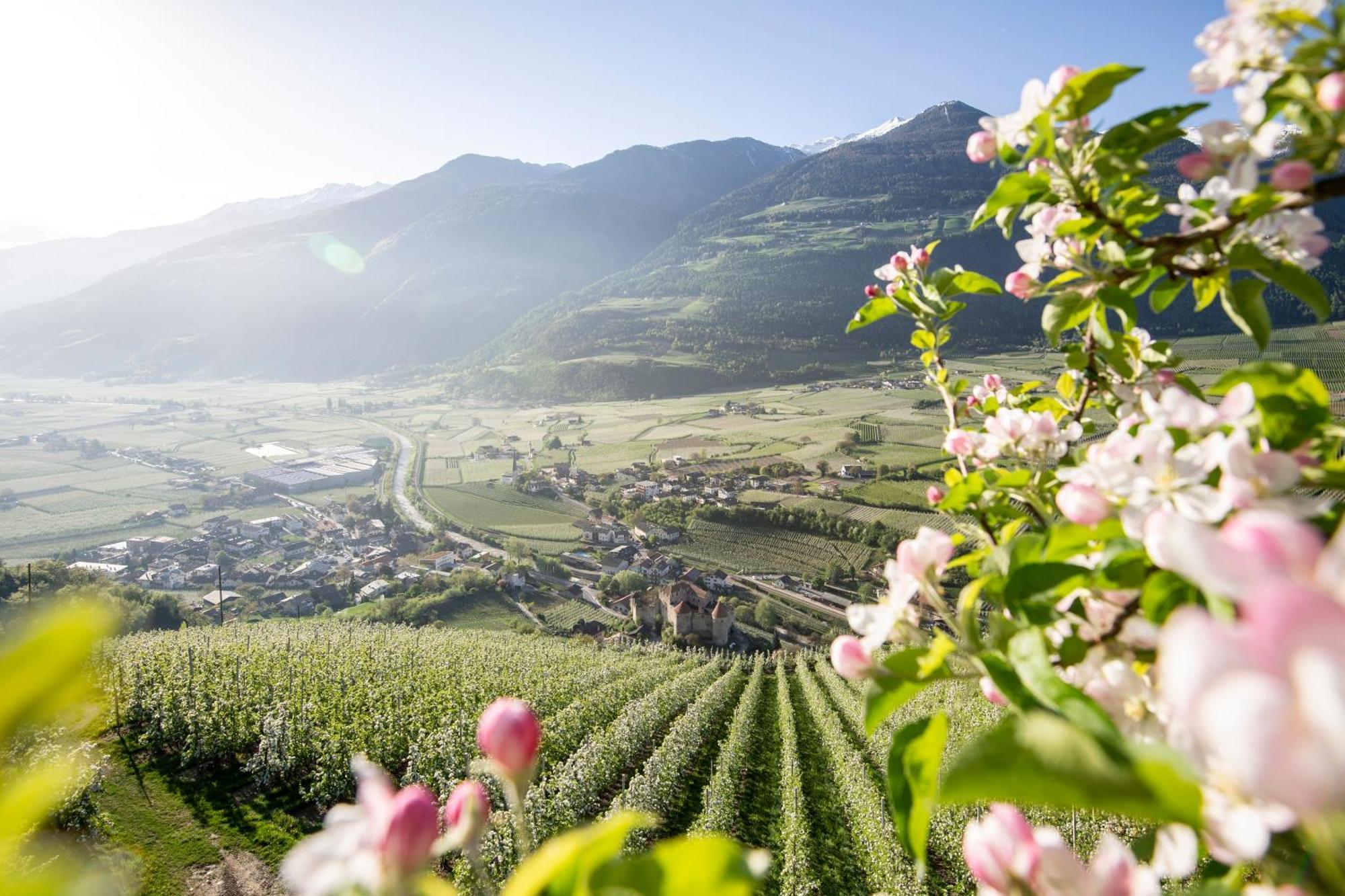 Lindenhof Pure Luxury & Spa Dolcevita Resort ナトゥルノ エクステリア 写真